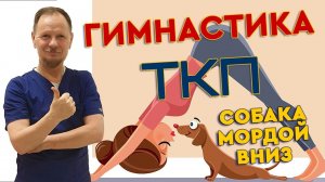 Гимнастика ТКП, упражнение "собака мордой вниз"