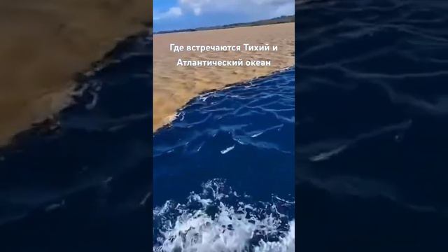 Удивительное явление двух океанов 🌊