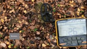 Garrett Ace Apex и Minelab Vanquish 340, чьё МУЛЬТИ сильнее?!