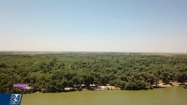 Река Сырдарья - рай для рыбаков! | Большие города смотреть онлайн