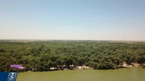 Река Сырдарья - рай для рыбаков! | Большие города