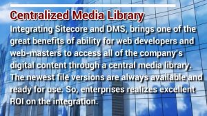 Sitecore Integration with ERP CRM DAM - Best Sitecore Development