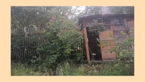 Расчистка участка в 6 соток, своими руками.