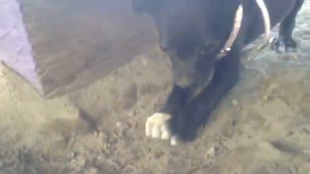 Маленькая Милана :) смотреть онлайн