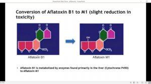 Mycotoxins डेयरी फार्मिंग में एफ़्लाटॉक्सिन के आर्थिक नुकसान #hfcow #aflatoxins #dairy #milk #rumen