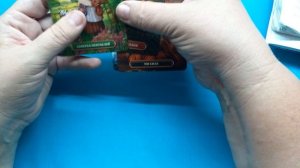 Калининград, что дальше?