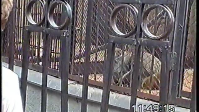 маша 3 года зоопарк VTS 01 1 смотреть онлайн