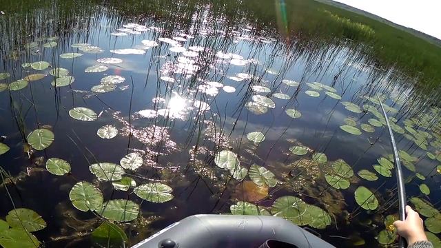 Ловля красноперки в Ленинградской области