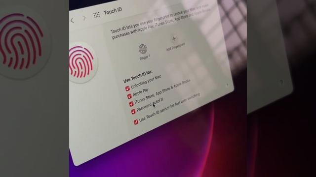 How to set up touch id on MacBook  Tech Knowledge