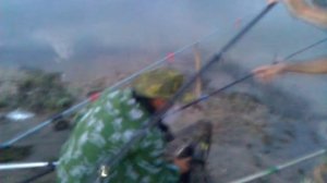 ловля речного усача с участием профессионалов)))))))))))))))