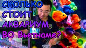 СКОЛЬКО СТОИТ АКВАРИУМ ВО ВЬЕТНАМЕ? СРАВНИЩЕ. РОССИЯ vs Вьетнам #АКВАМЕН