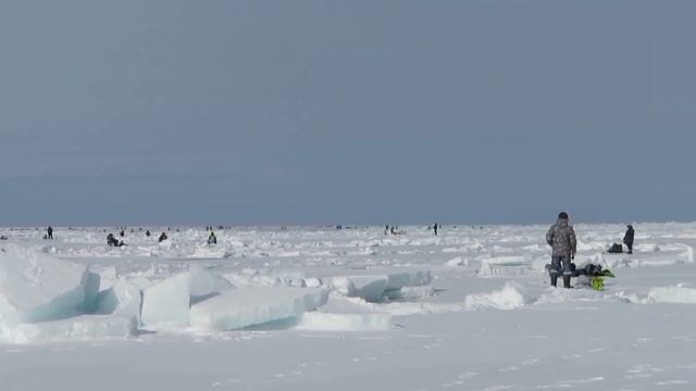 Рыбалка. Стародубск. Сахалин. 03.02.22.