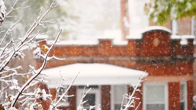 40 minutes of calm смотреть онлайн