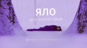 ЯЛО – Мир фиолетовый