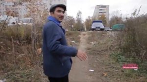 Прогулки по Бирюлево