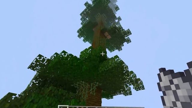 Как вырастить самое большое дерево в майнкрафт смотреть онлайн