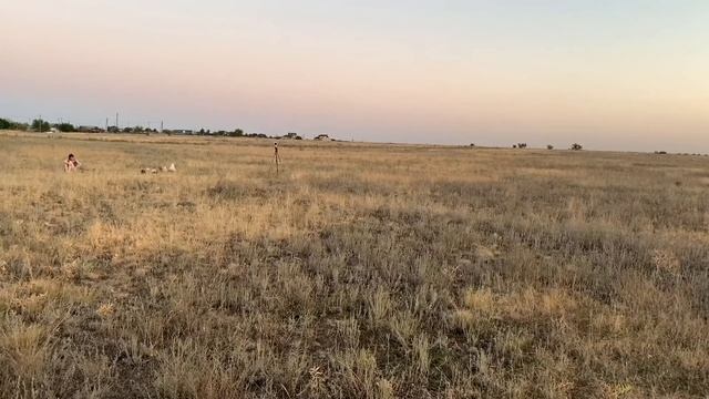 КАМЕРА НА СОЛНЕЧНЫХ БАТАРЕЯХ ОТ KERUI ВИДЕОНАБЛЮДЕНИЕ БЕЗ ЭЛЕКТРИЧЕСТВА смотреть онлайн