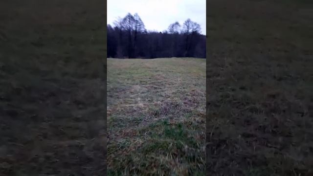 форсированный Минск кросс смотреть онлайн