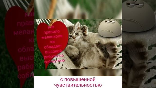 типы темперамента человека