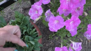 Утро началось с непланового ремонта