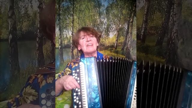 ПРОЙДУСЬ ПО ВОЛОГДЕ РОДНОЙ (Авторская песня)#баян #любовьбелякова