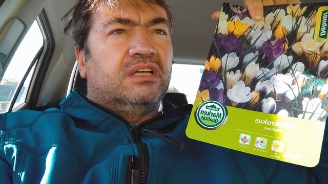Осенью на даче. Листва и стройматериалы