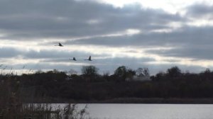 Рыбалка на карася . Ловля на поплавок в середине ноября . My fishing