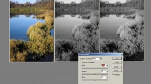 Photoshop урок 24  Простейшие способы конвертации цветного изображения в черно белое