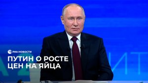 Путин о росте цен на яйца