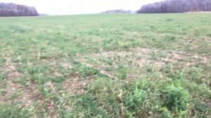 Коп с АкА Сигнум в Подмосковье