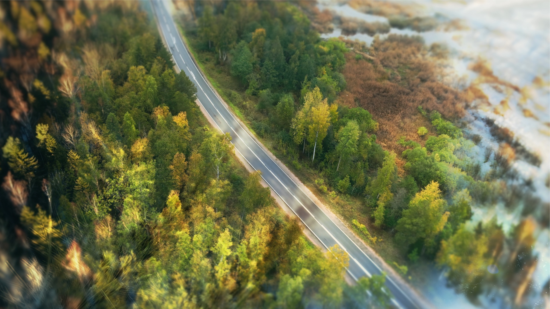 Rhythm of Mankind & Nature - Spirit Lights