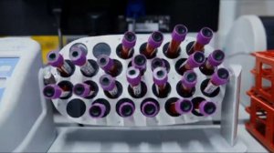 Пищевой мел