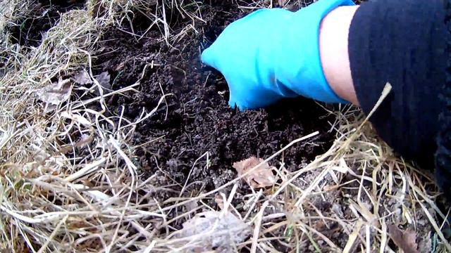 На Даче у Агафьи.ПОСАДКА ОГУРЦОВ СЕЗОН 2017 смотреть онлайн