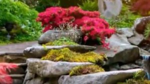 Великолепные песни о любви! Живите с любовью и богом! 2024!