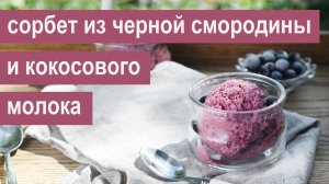 Сорбет из черной смородины, кокосового молока и манго