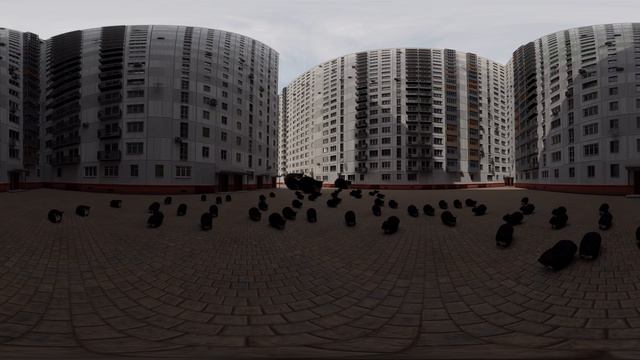 Кот Максвелл танцует в VR 360