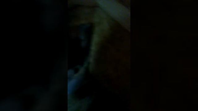 Телки в бане смотреть онлайн