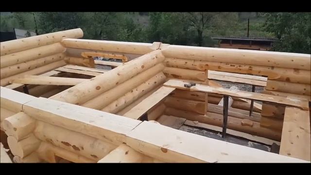 Как я построил кедровый сруб от А до Я...