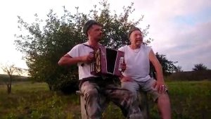 "К Бате". Замечательная песня Николая Емелина. Под гармошку
