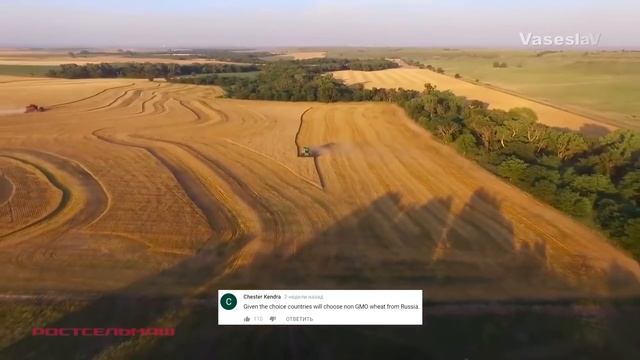 РОССИЯ МИРОВОЙ ЛИДЕР ПО ЭКСПОРТУ ПШЕНИЦЫ - Комментарии иностранцев смотреть онлайн