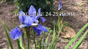 Выходные в деревне 24-25 июня 2023