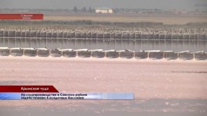 Уникальная Крымская розовая соль.