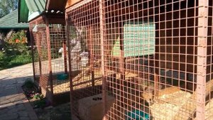 Экоферма "Семейное подворье" на запад от Челябинска