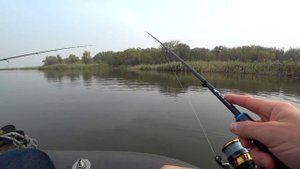 Рыбалка на щуку и судака в октябре на новый спиннинг Favorite Blue Bird 2020 BB1-802L-T.