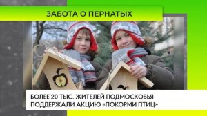 Более 20 тыс. жителей Подмосковья поддержали акцию «Покорми птиц»