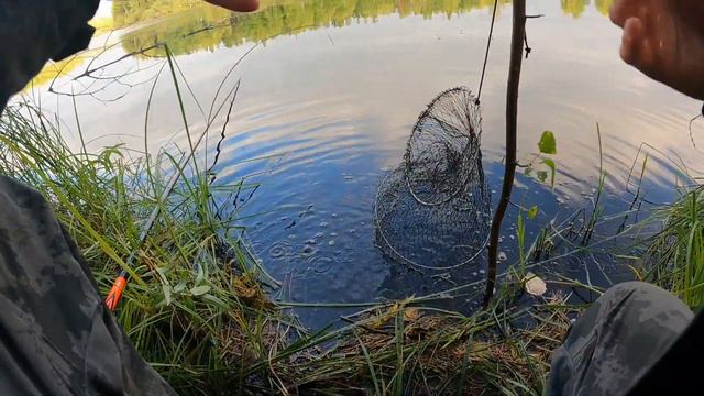 Рыбалка на Карася на поплавочную удочку! смотреть онлайн