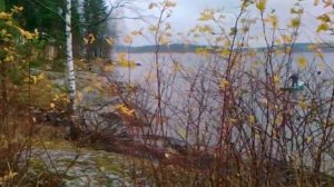 Глубокая осень. Дача "Винтера", Сортавала