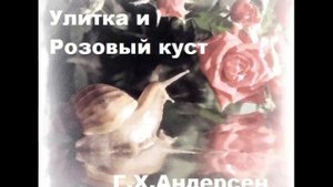 Улитка и Розовый куст. Г.Х. Андерсен