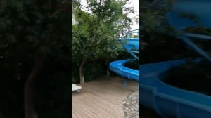 2018 Лазаревское Отель Марко Поло   у отеля