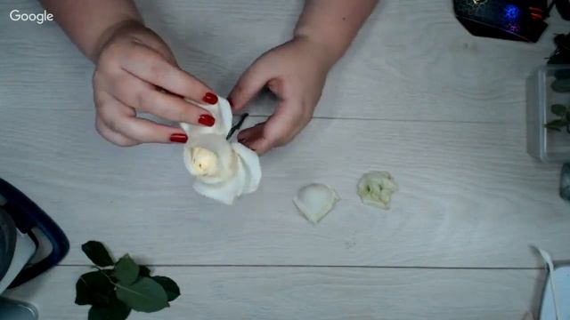 Роза Аваланж, разбор смотреть онлайн